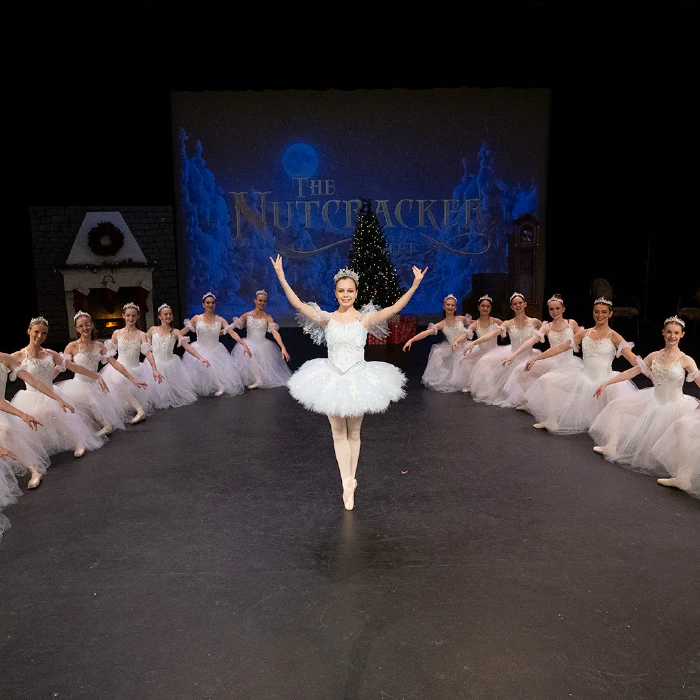 Snowflake: $50 to $99